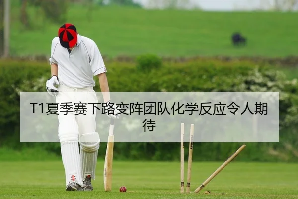 T1夏季赛下路变阵团队化学反应令人期待